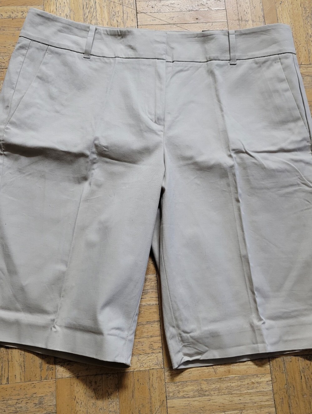 Ann Taylor Boardwalk Shorts Sz10 NWT